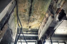 Best Mold Prevention Services  in Canal Winchester, OH